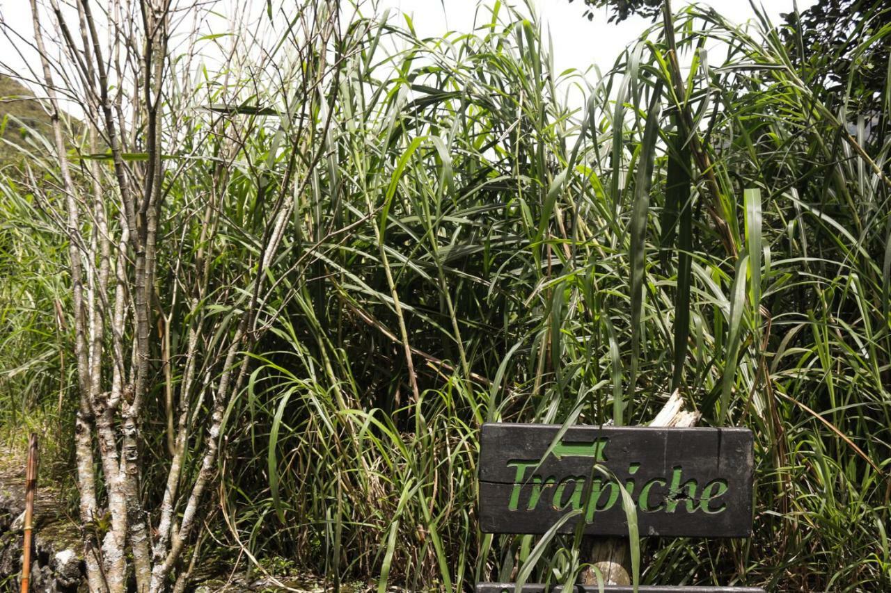 Hosteria El Trapiche Lodge & Spa Banos  Bagian luar foto